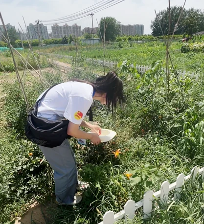 社会实践现场调研