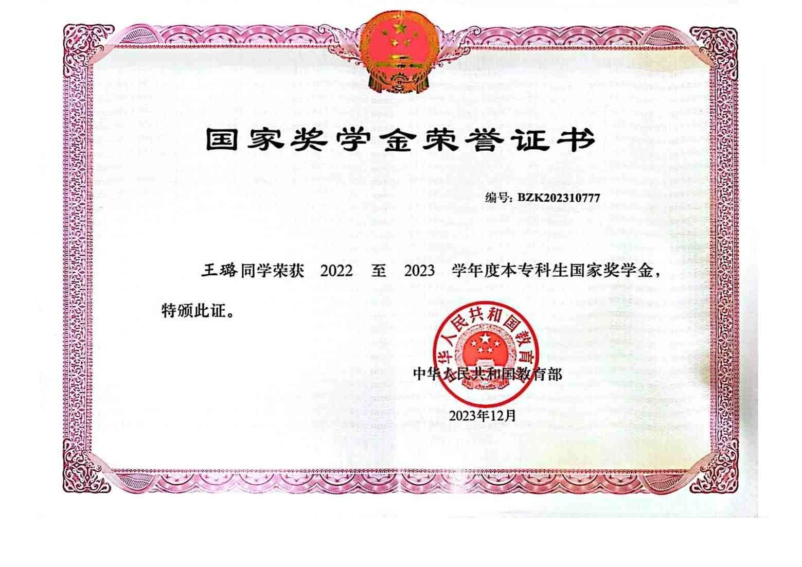 国家奖学金 · 2023 · 学业荣誉
