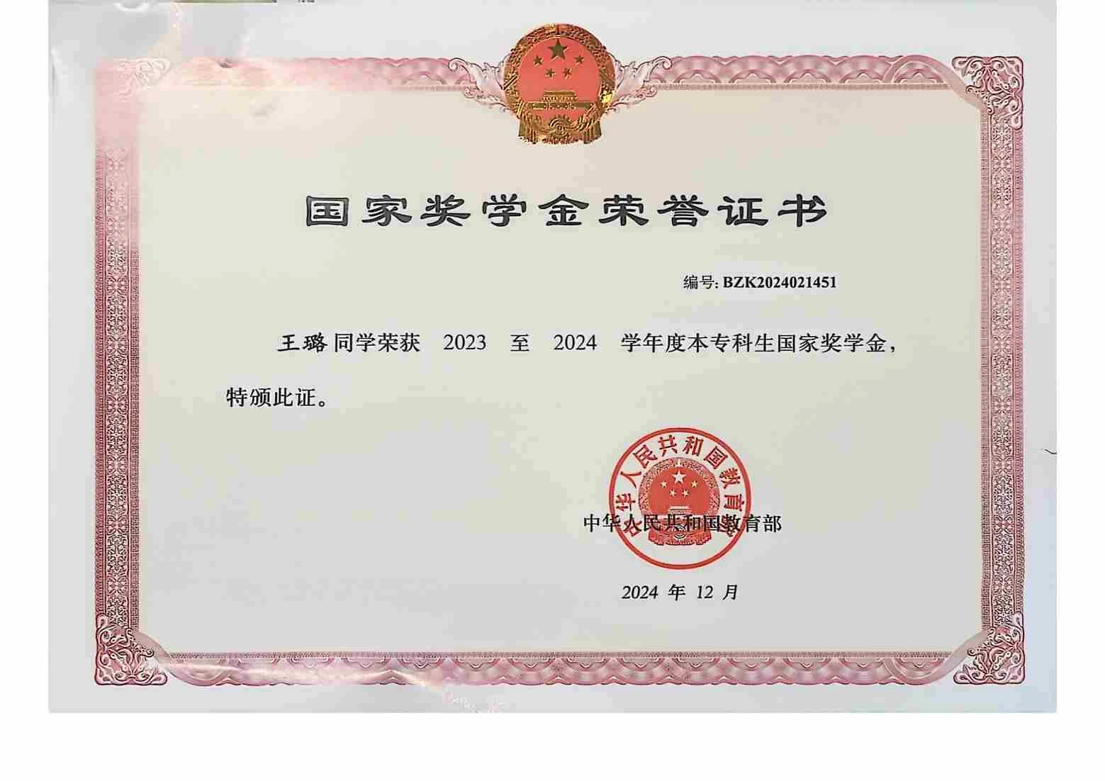 国家奖学金 · 2024 · 学业荣誉